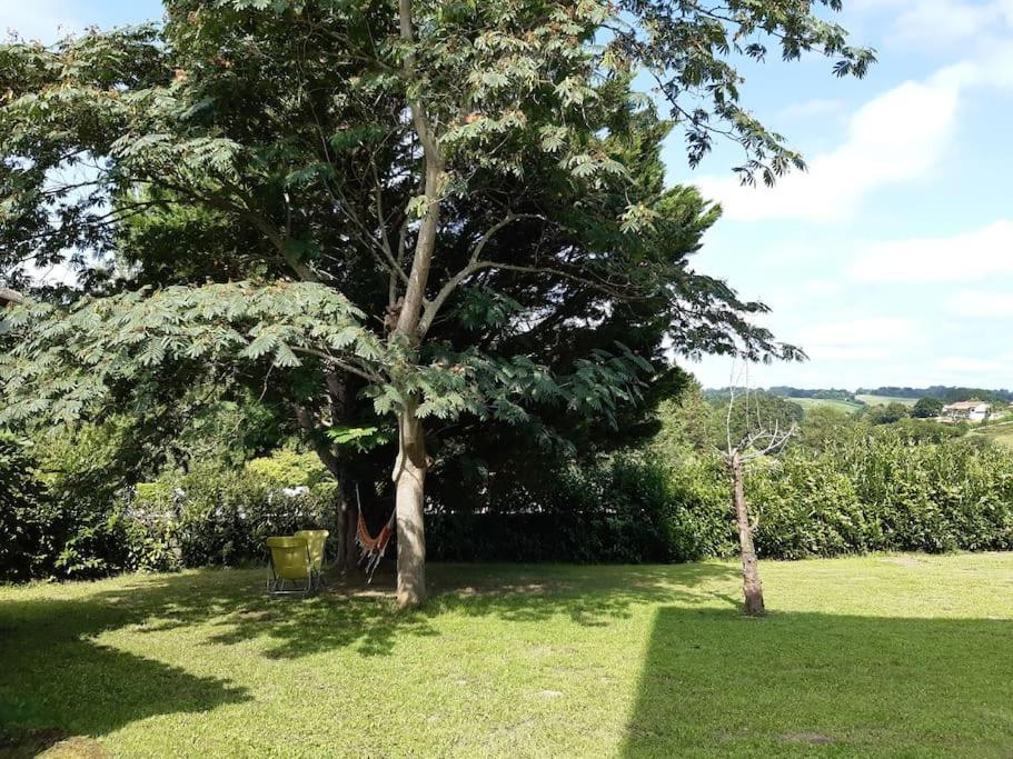 Logement Calme Et Authentique A Espelette Bagian luar foto